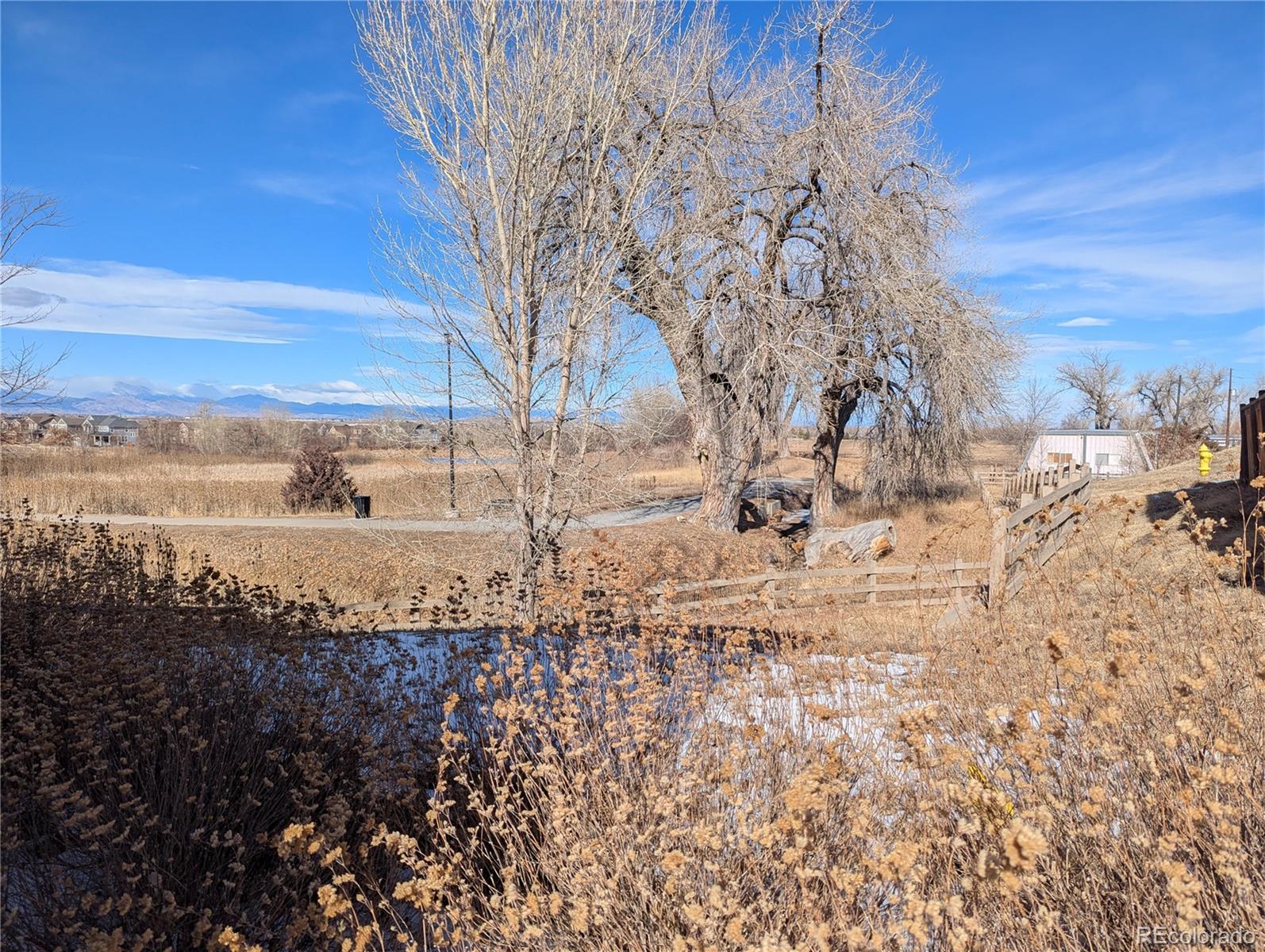 14147 Jackson Street