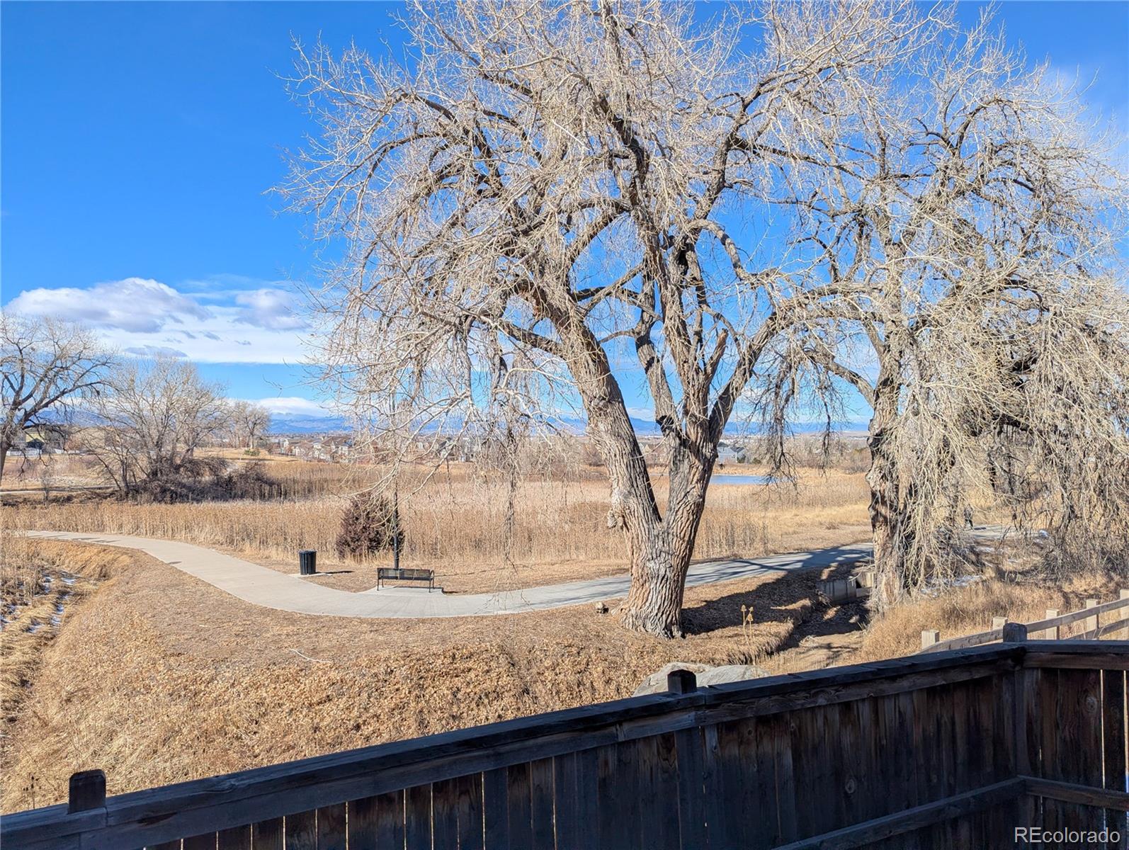 14147 Jackson Street