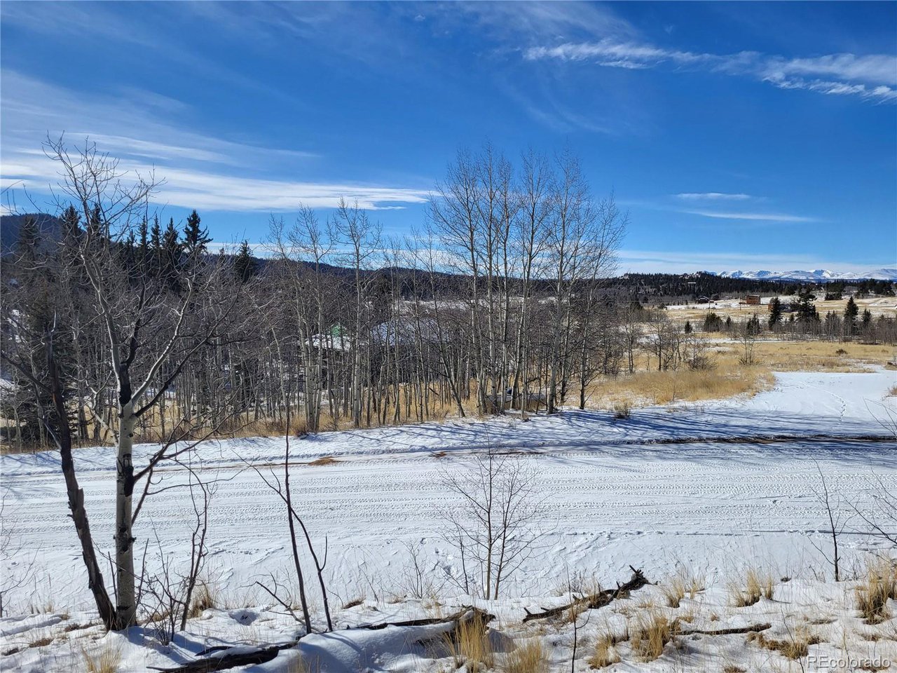 81 Concord Dr
