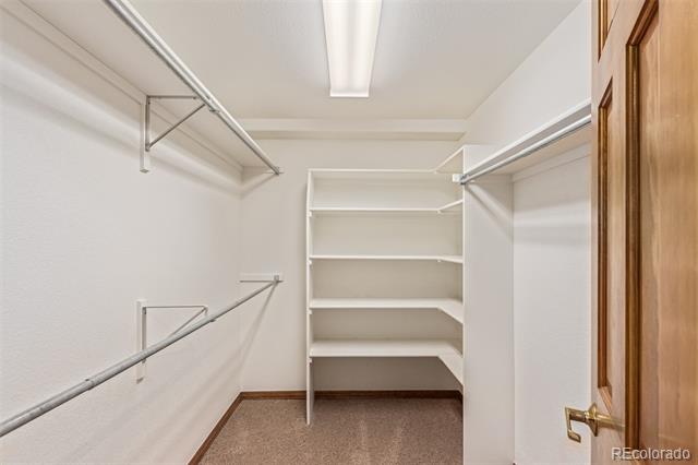 8242 Xenophon Court