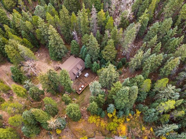 116 Chase Drive