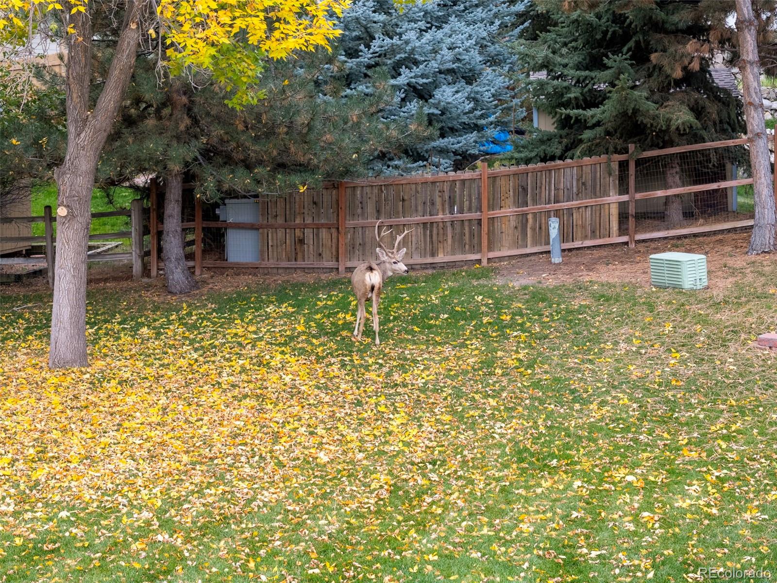 6227 Northwoods Glen Drive