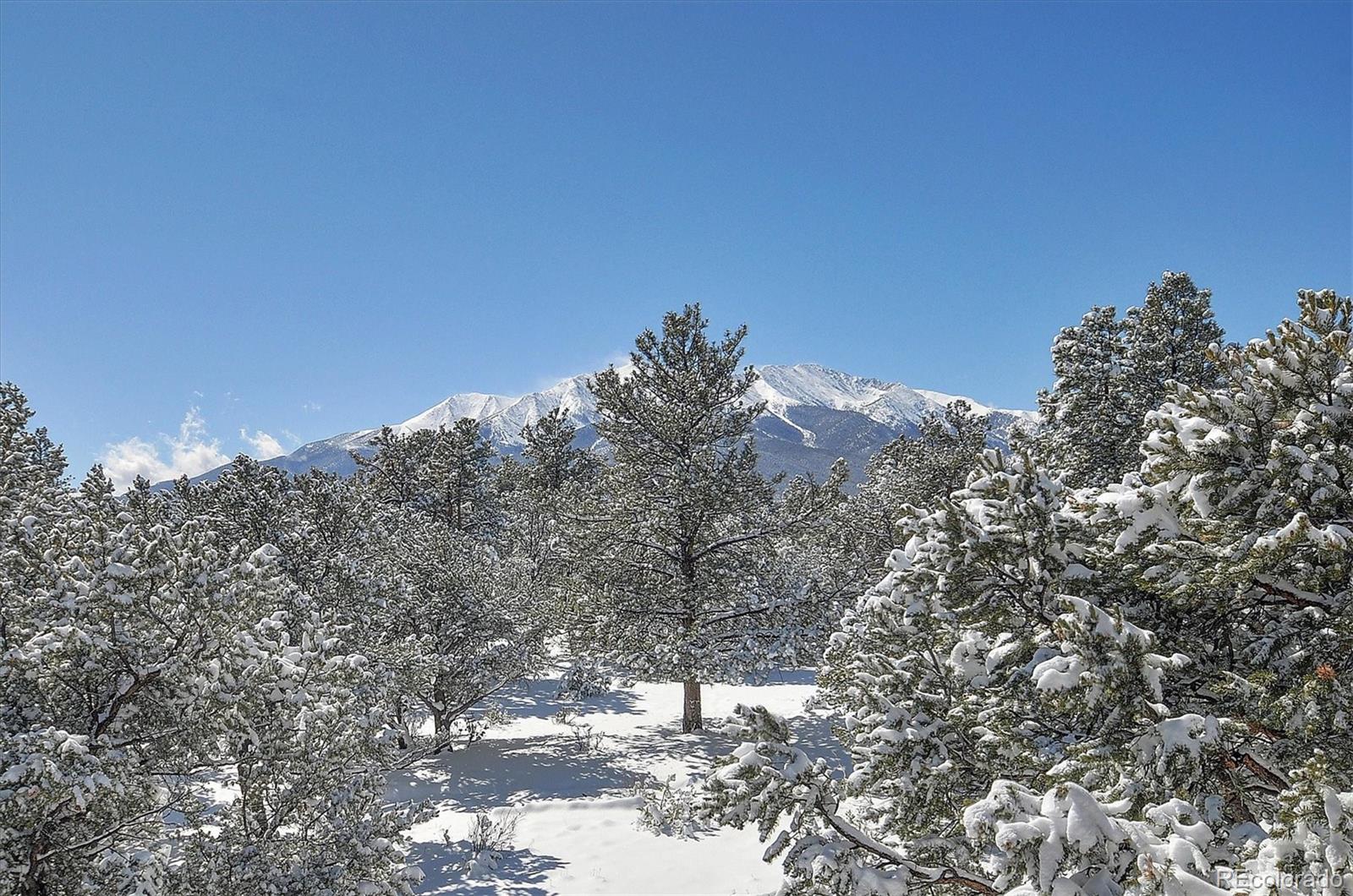 17158 County Road 363