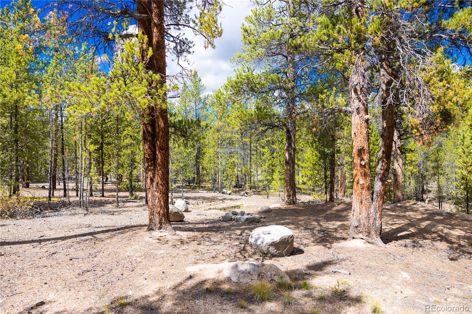 247 Juniper Drive