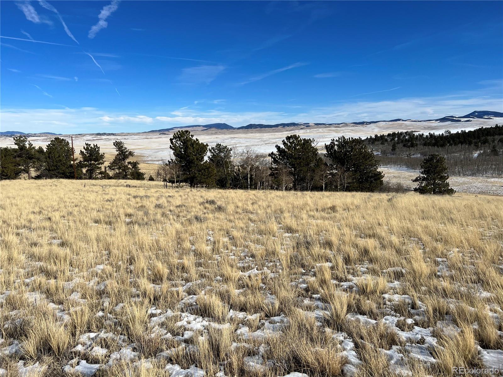 11414 Ranch Road