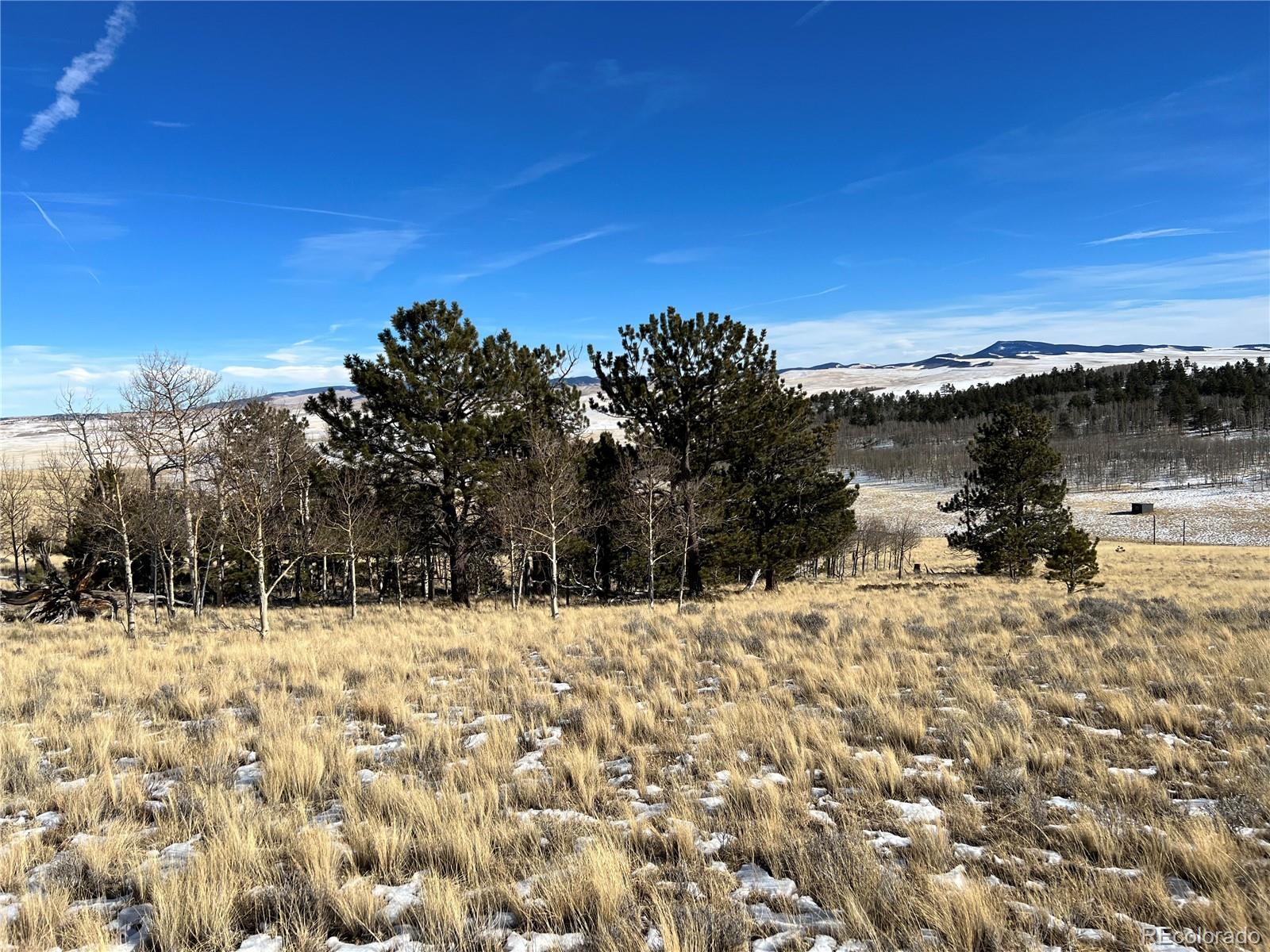 11414 Ranch Road