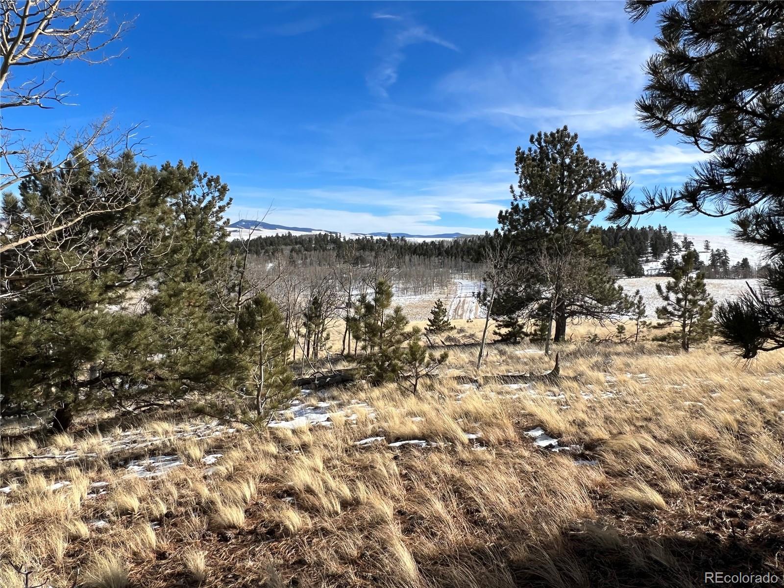 11414 Ranch Road