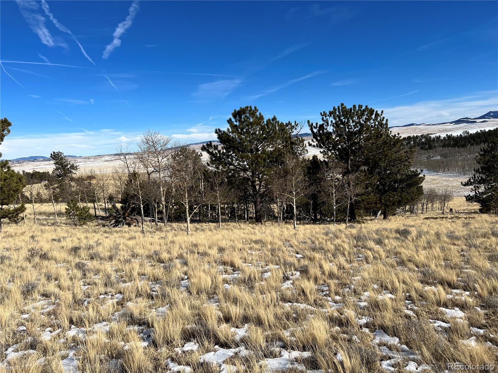11414 Ranch Road
