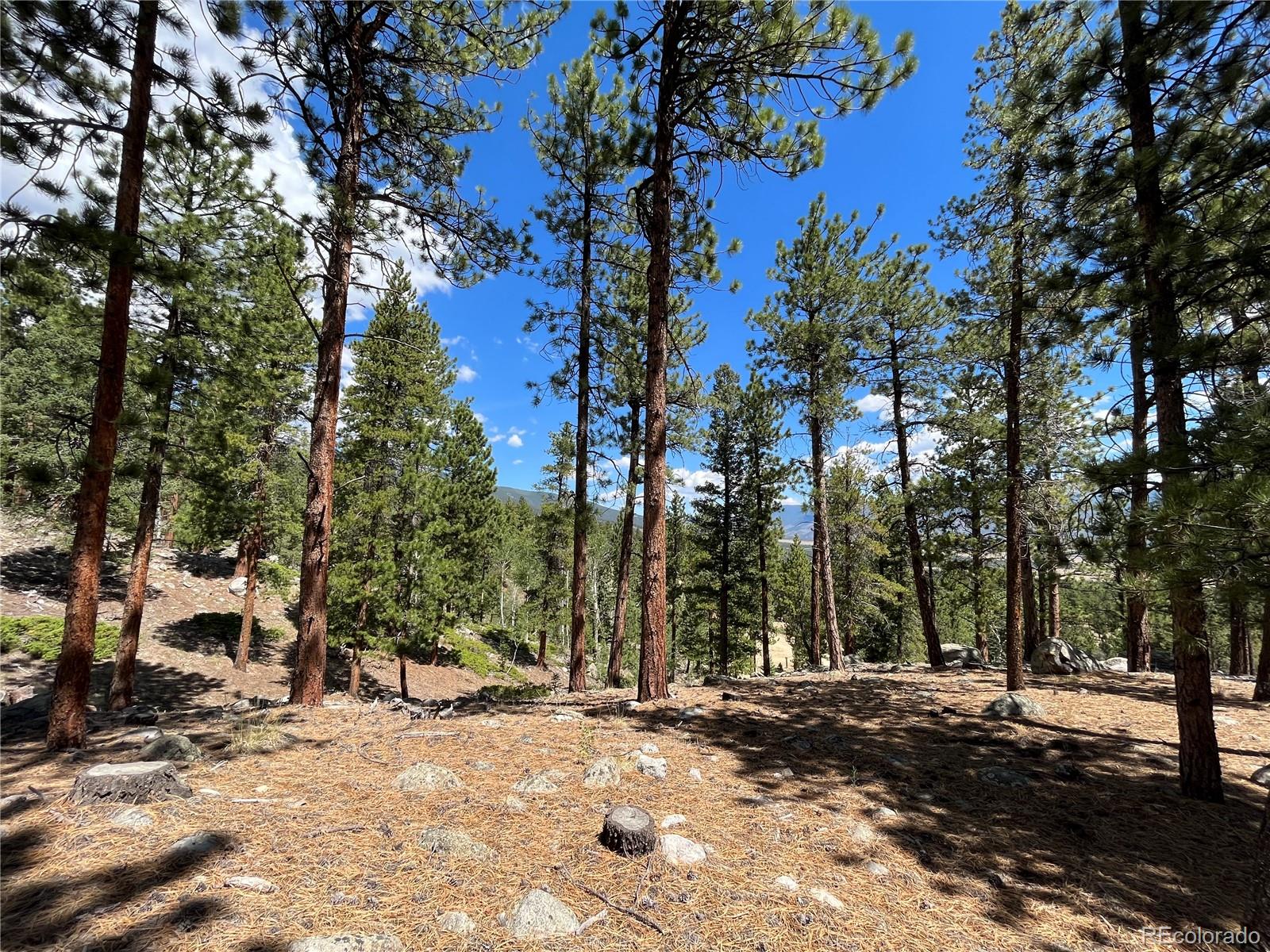30178 Mountaintop Drive