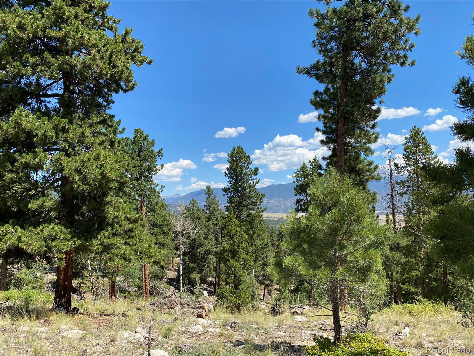 30178 Mountaintop Drive