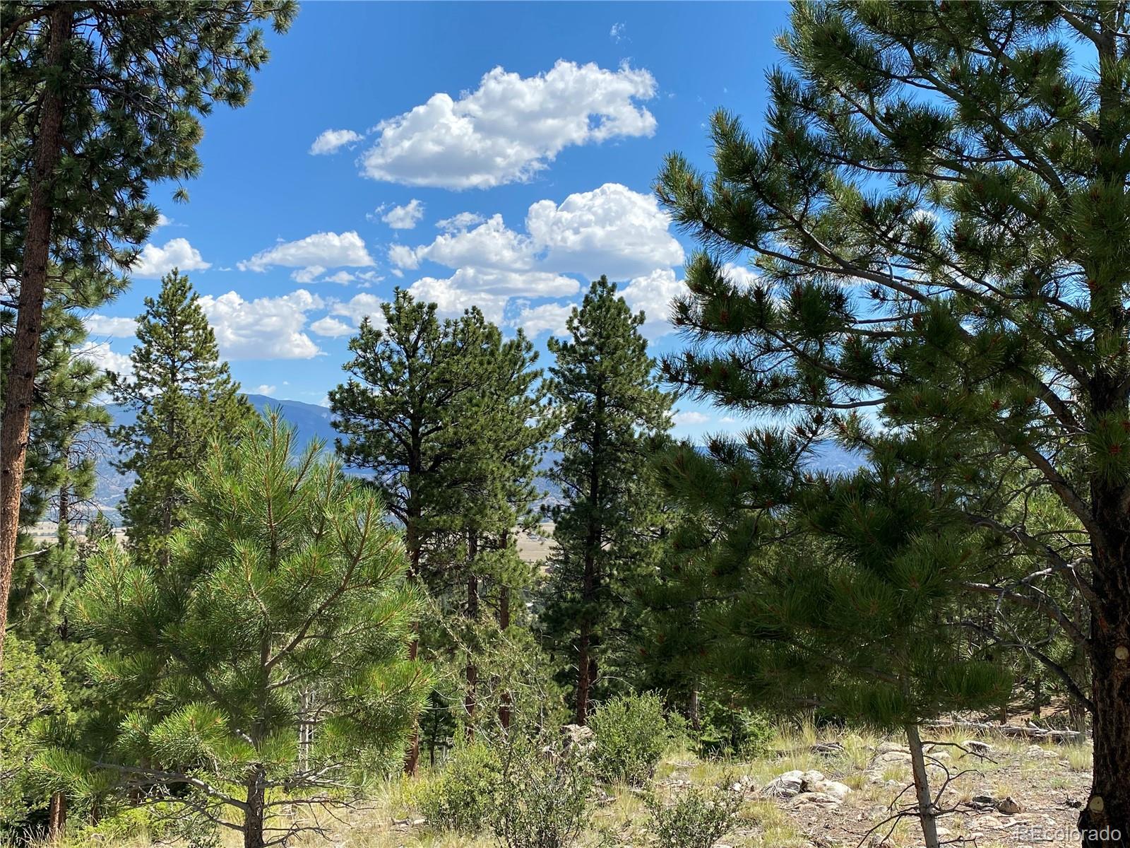 30178 Mountaintop Drive