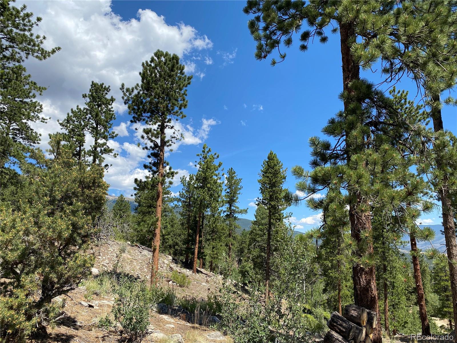 30178 Mountaintop Drive