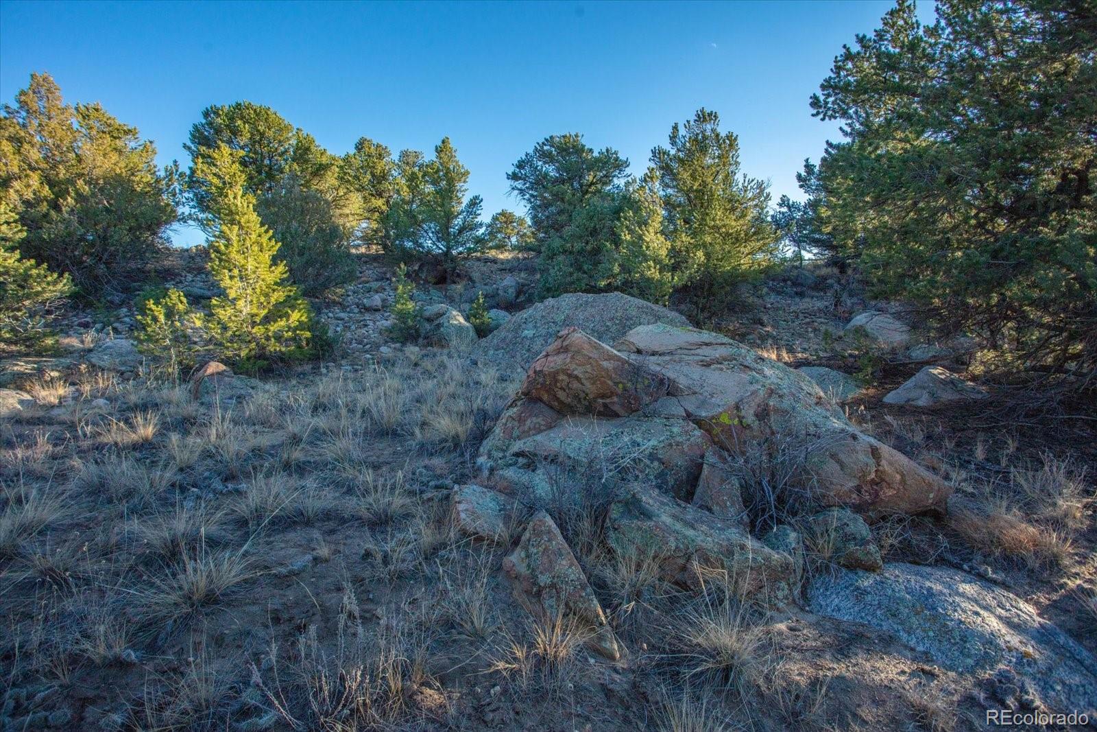 12740 County Road 195