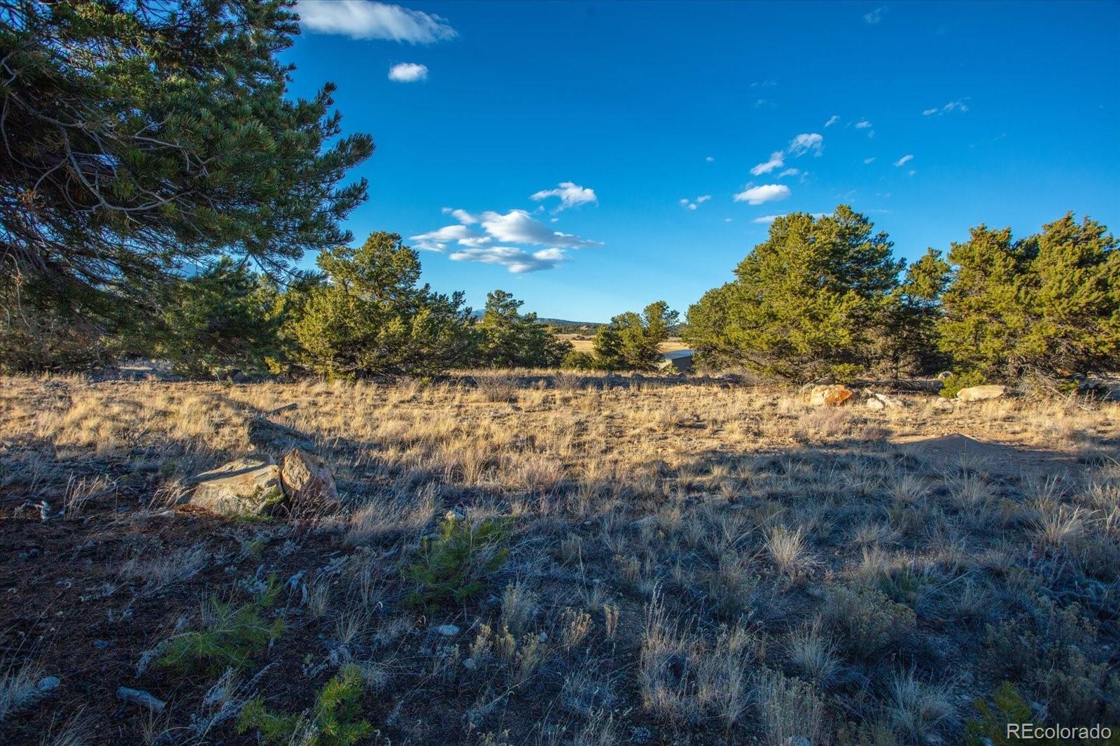 12740 County Road 195