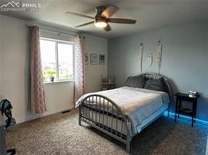 12720 Scenic Walk Drive