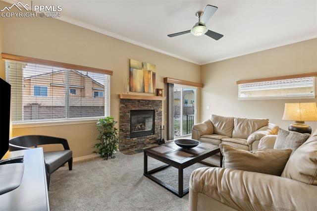 13808 Paradise Villas Grove