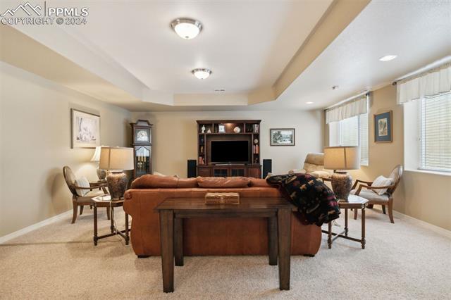 13808 Paradise Villas Grove