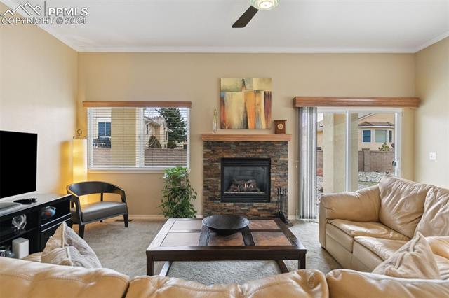 13808 Paradise Villas Grove