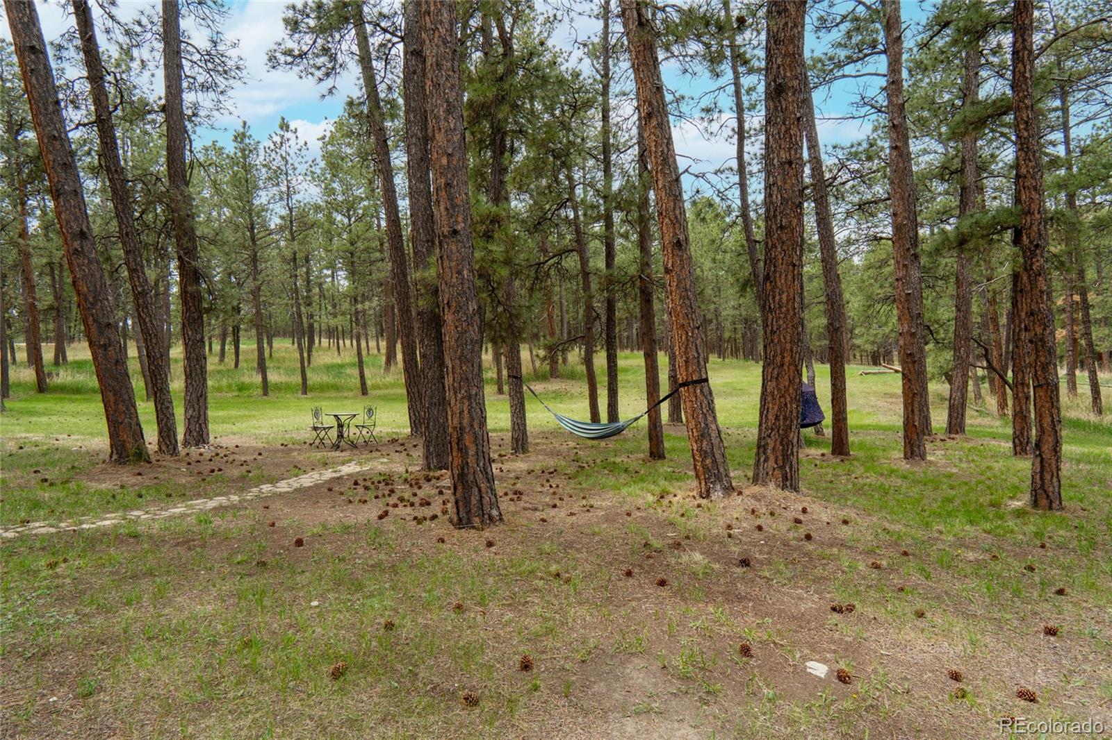 4719 Beaver Ridge