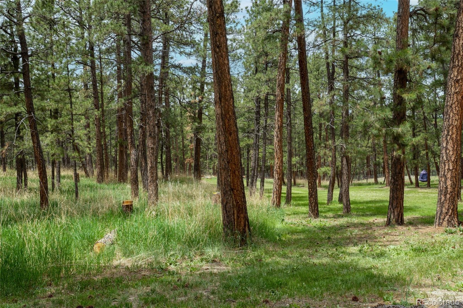 4719 Beaver Ridge