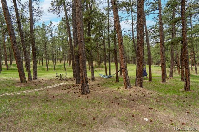 4719 Beaver Ridge