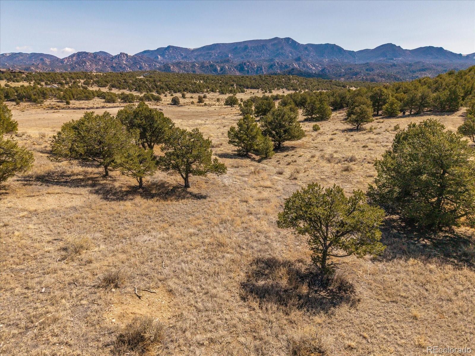 10246 Rawhide Creek Road