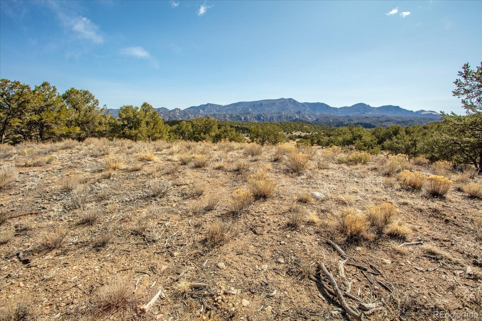 10246 Rawhide Creek Road