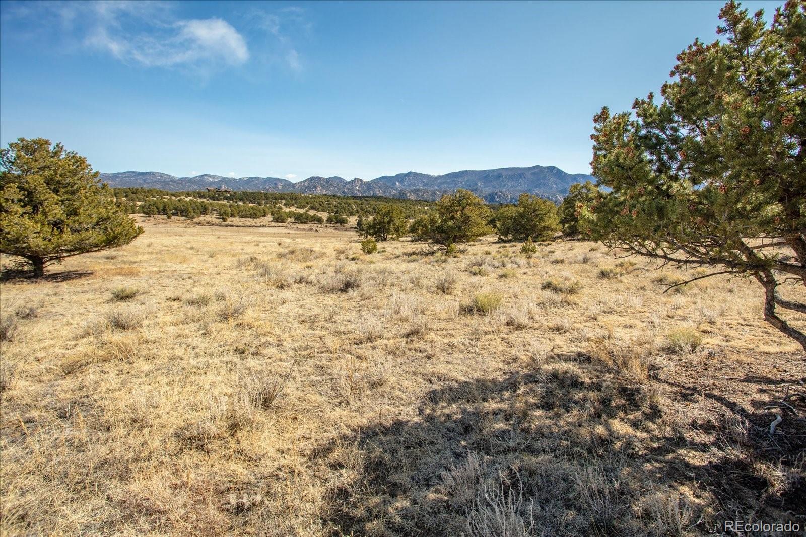 10246 Rawhide Creek Road