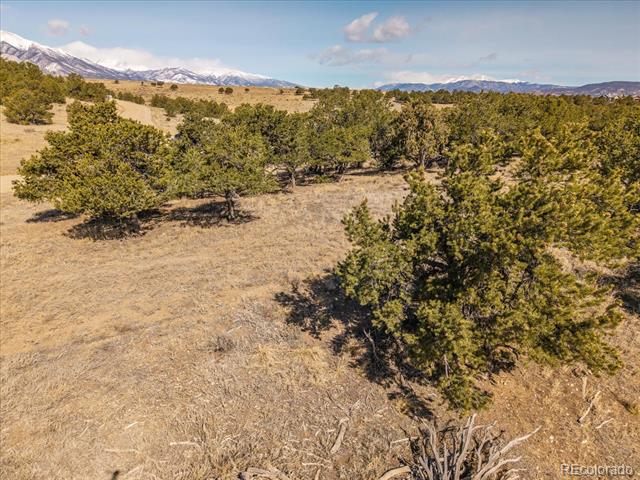 10246 Rawhide Creek Road