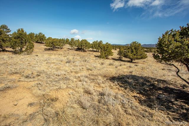 10246 Rawhide Creek Road