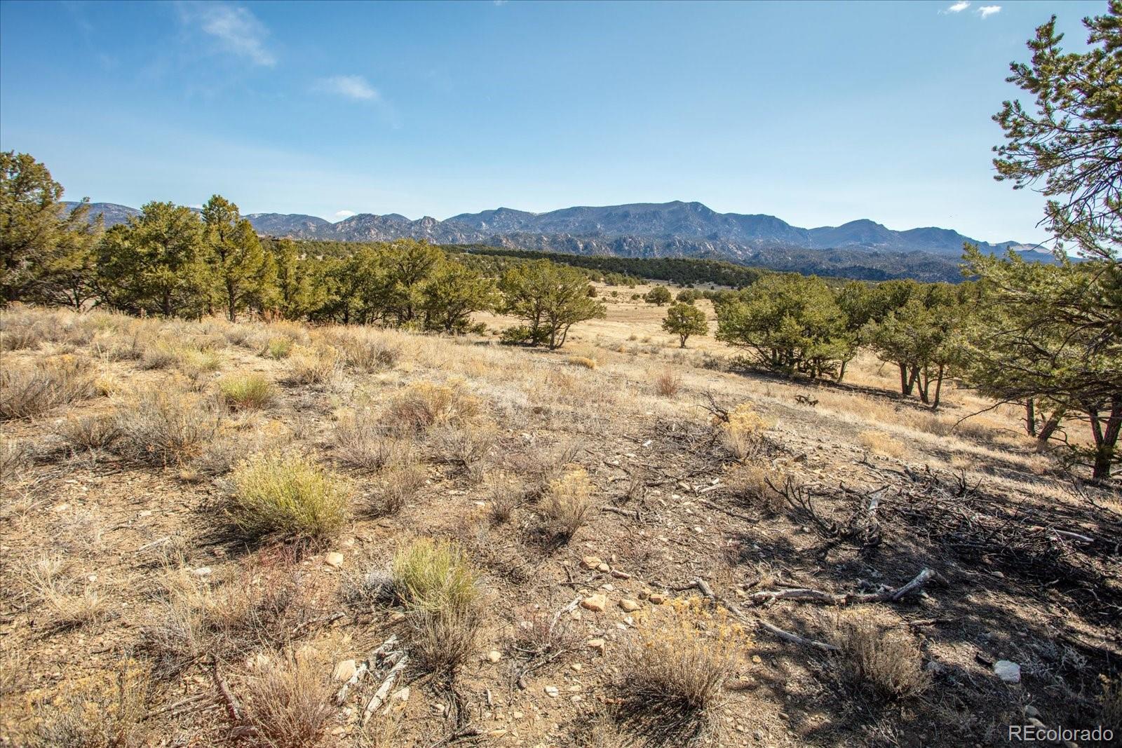 10246 Rawhide Creek Road