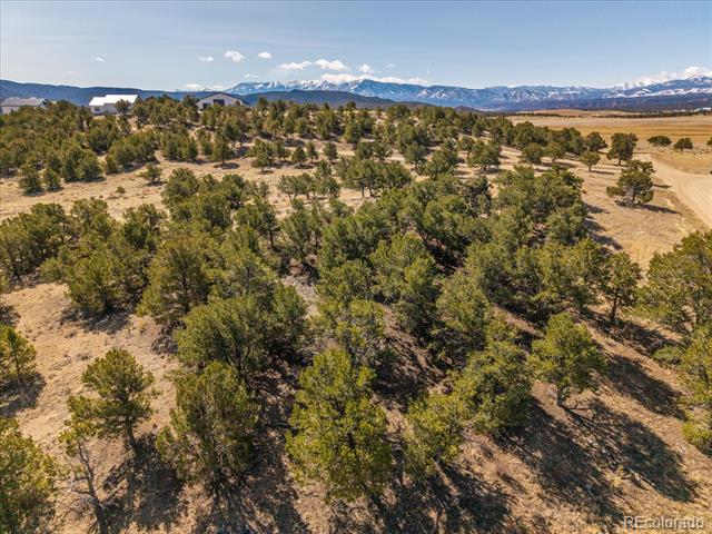 10246 Rawhide Creek Road