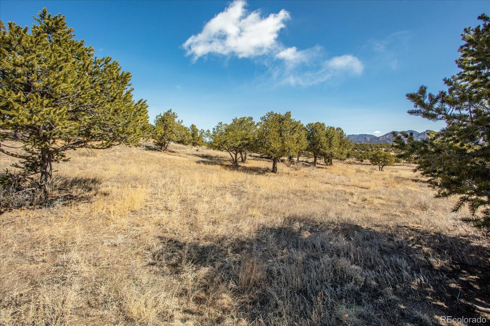 10246 Rawhide Creek Road