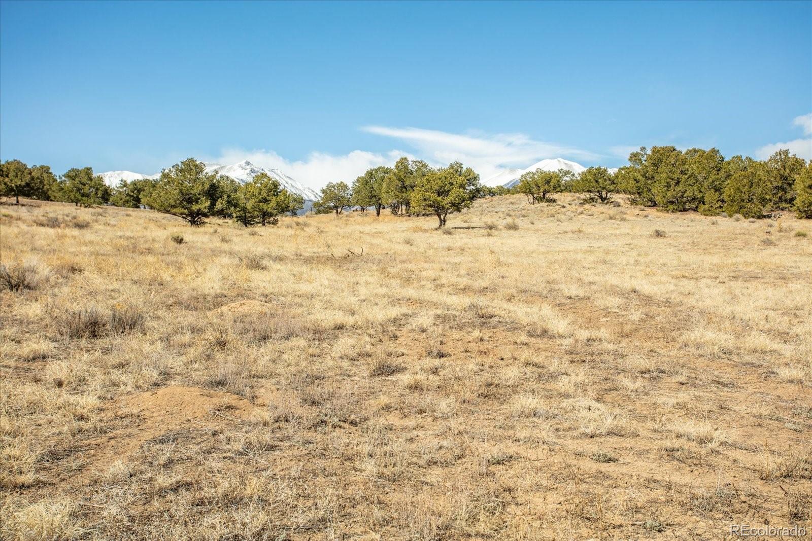 10246 Rawhide Creek Road