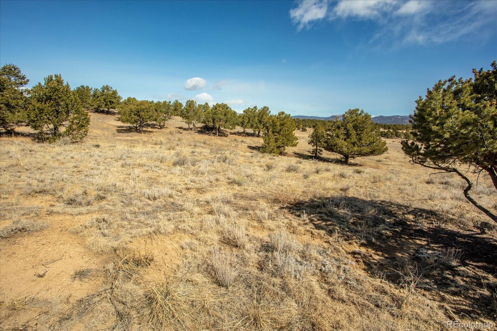 10246 Rawhide Creek Road