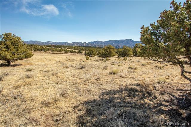 10246 Rawhide Creek Road
