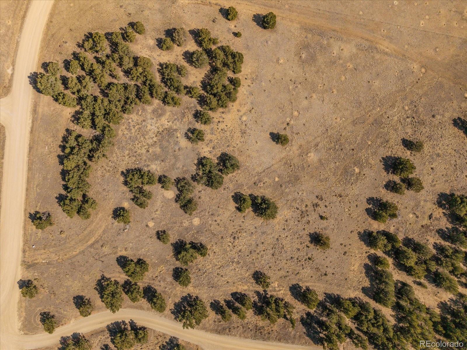 10246 Rawhide Creek Road