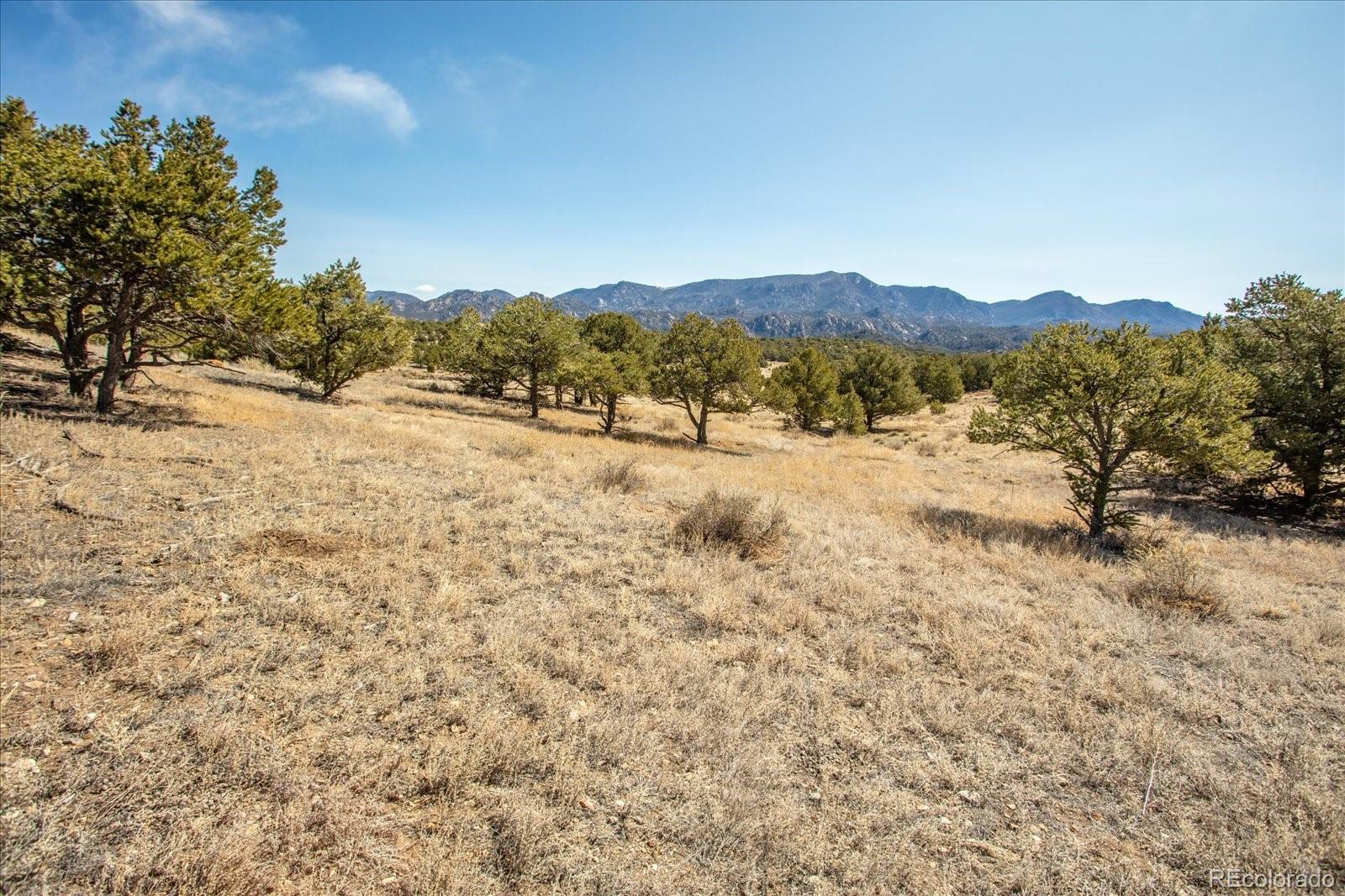 10246 Rawhide Creek Road