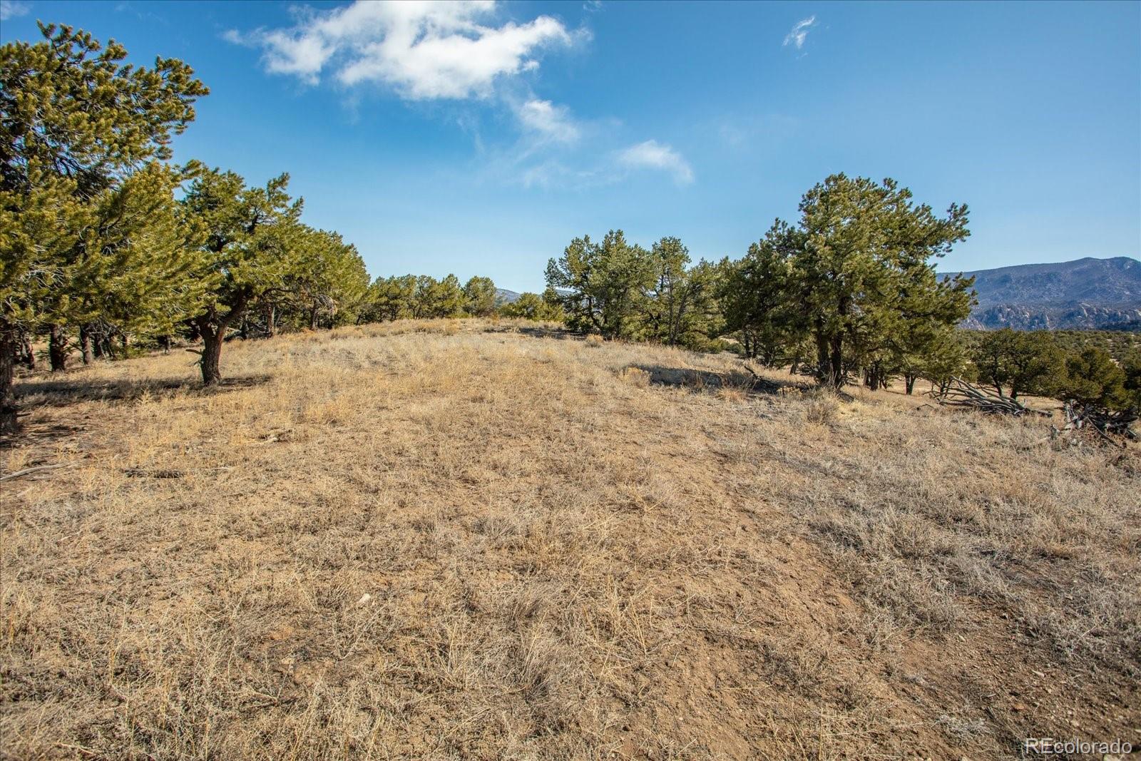 10246 Rawhide Creek Road