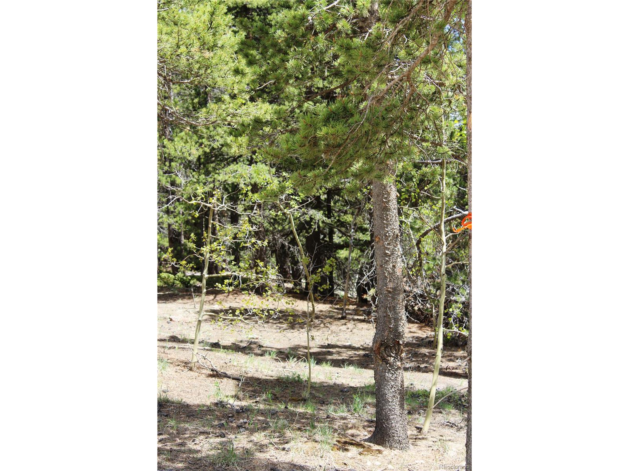 250 Dory Lakes Dr