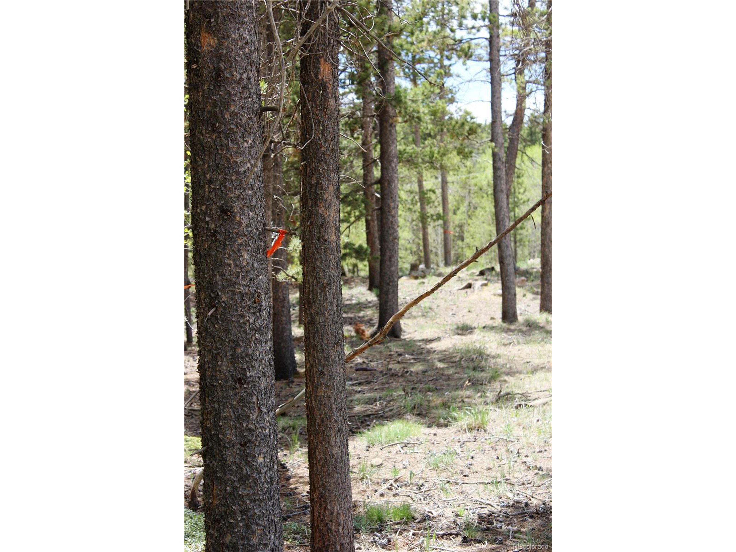 250 Dory Lakes Dr
