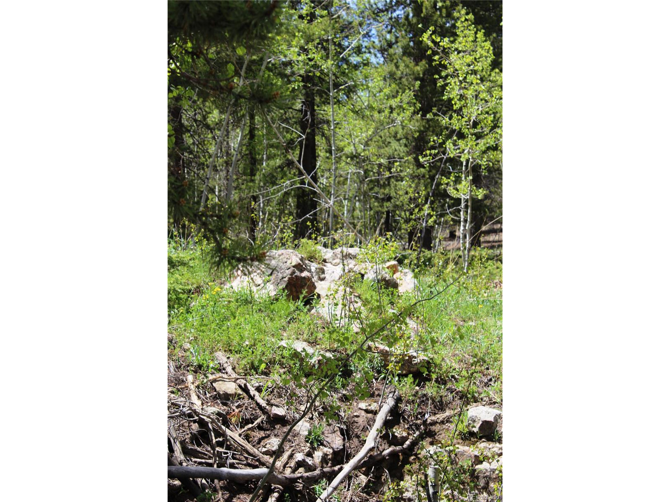 250 Dory Lakes Dr