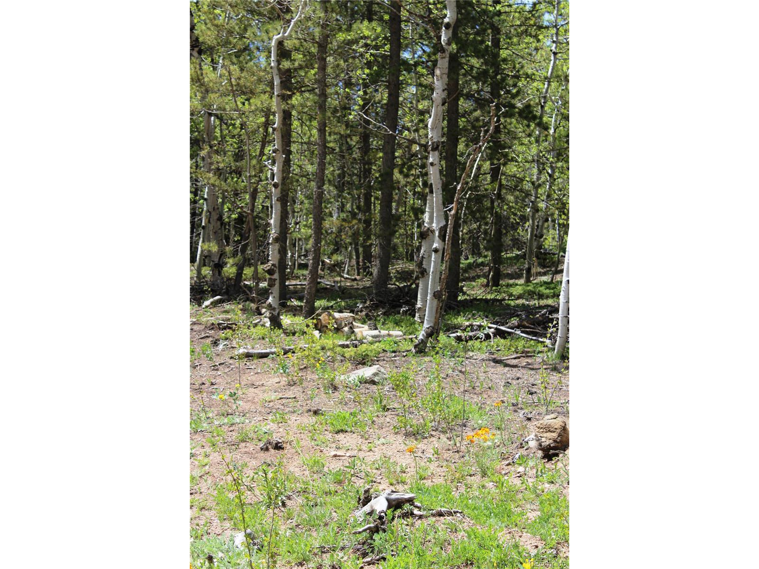 250 Dory Lakes Dr