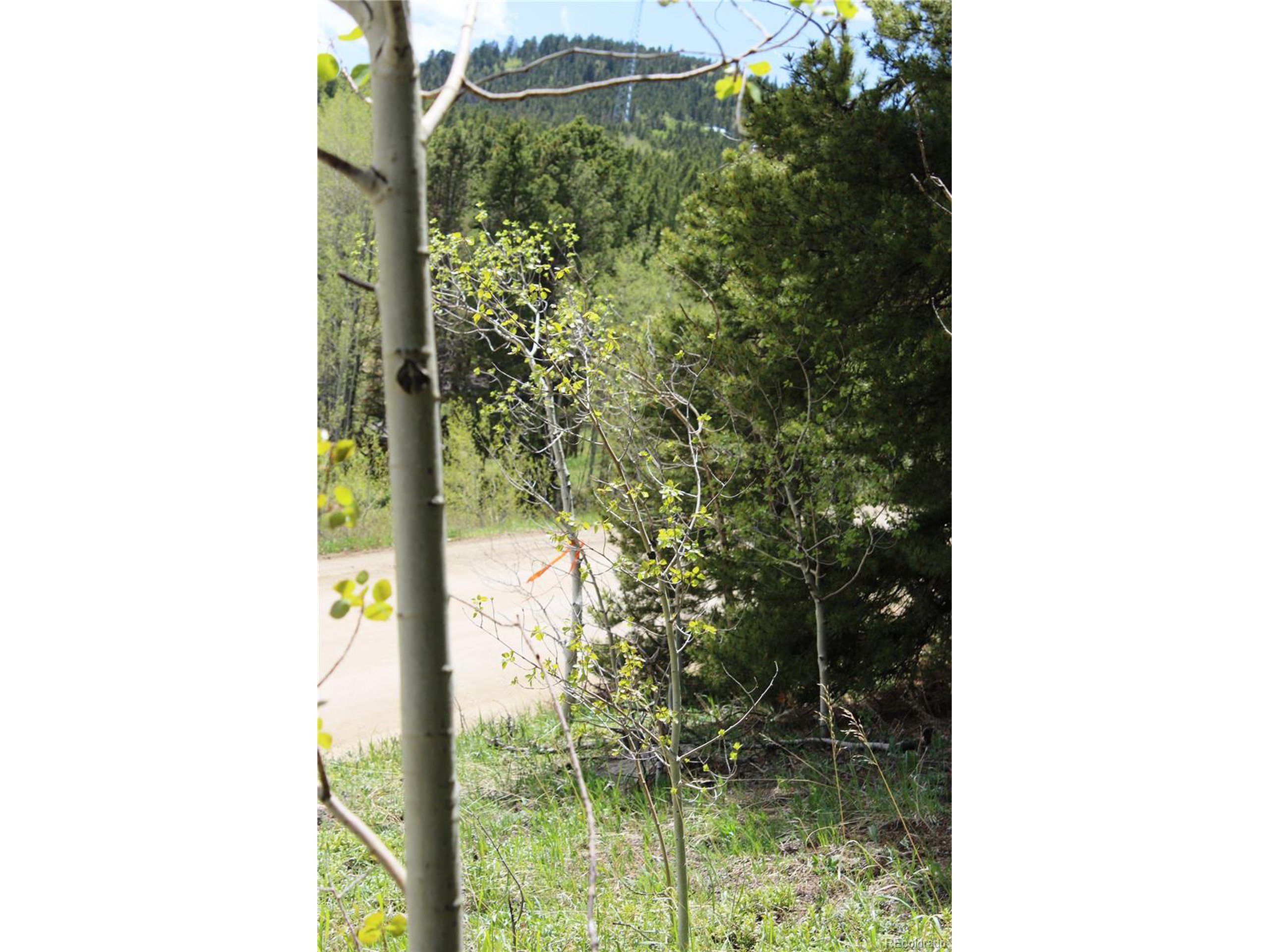250 Dory Lakes Dr