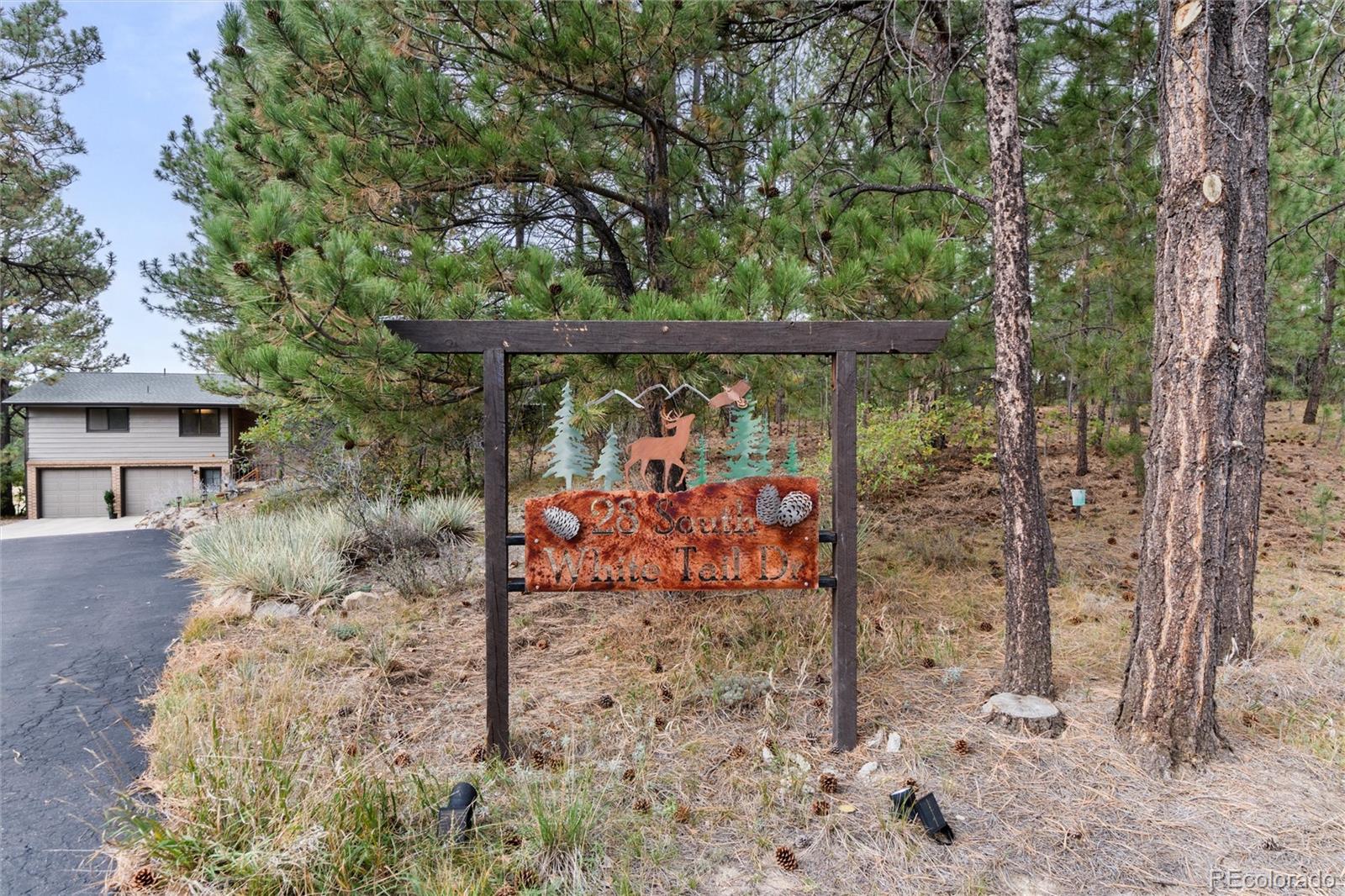 28 S White Tail Drive Franktown Co Us 80116 723fc7fa7586eba1990b6e14e7445de3