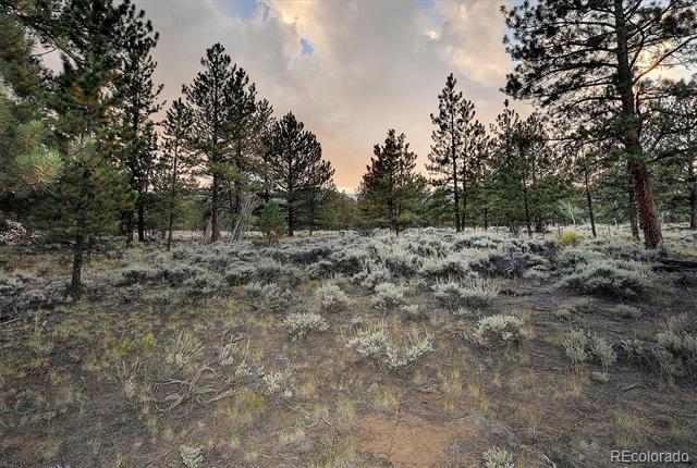 18670 Morrison Creek Circle