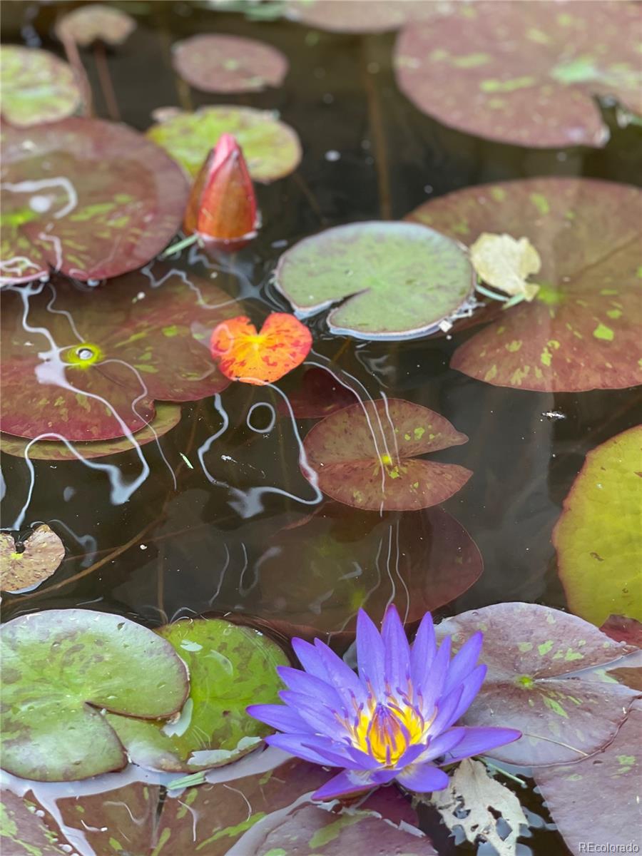 3311 N Josephine Street