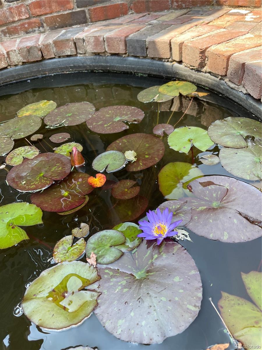 3311 N Josephine Street