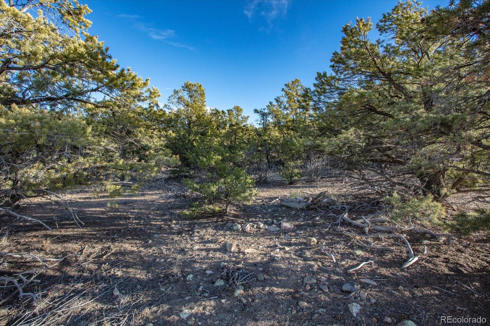 5450 Longbranch Road