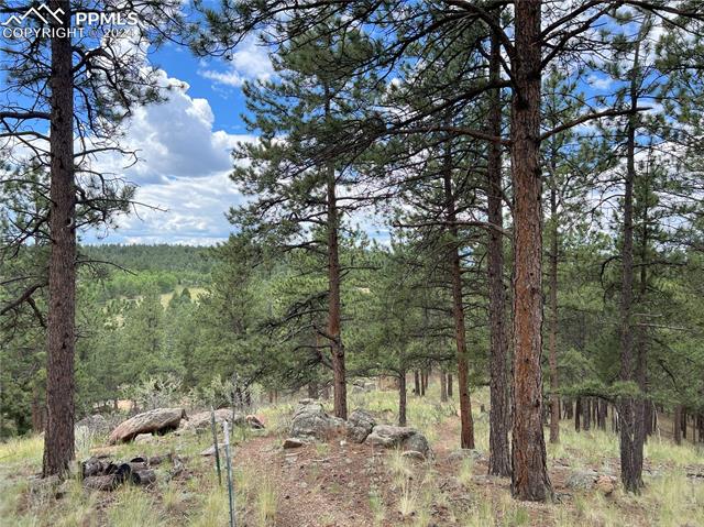 370 Shavano Creek Trail